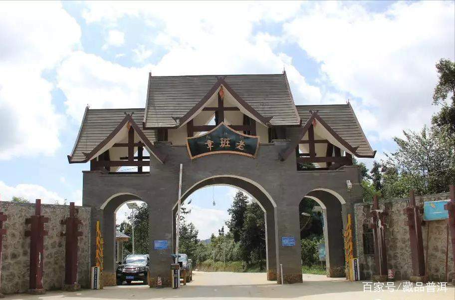 老班章普洱茶造假5大内幕，大多数的人都不知道，早学会早避坑！