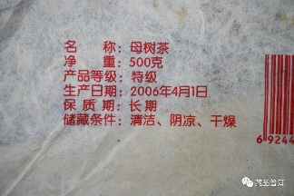 06年勐库母树茶春母，早年冰岛料压制，到底好不好？开汤审评来了