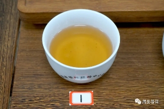 06年勐库母树茶春母，早年冰岛料压制，到底好不好？开汤审评来了