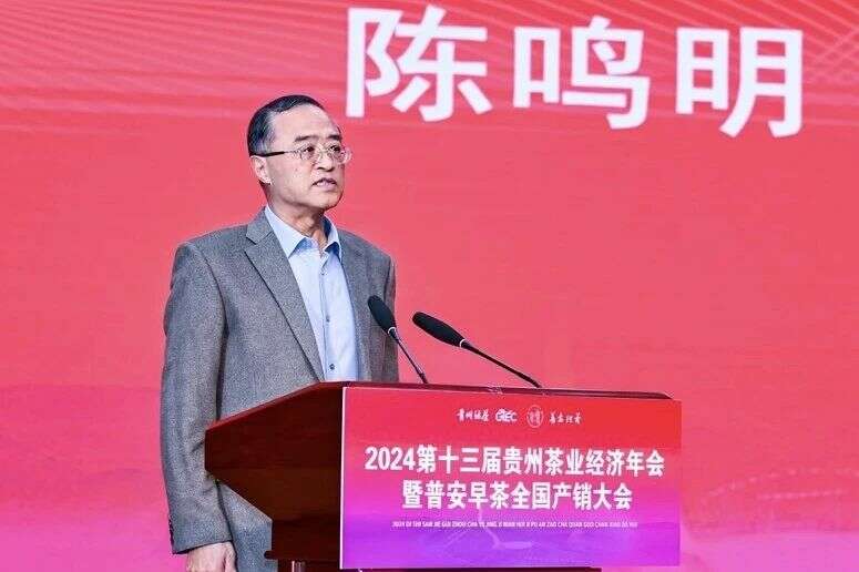 传承与创新融合!茶界精英齐聚,共襄贵州茶业盛举 brand_alt_mark