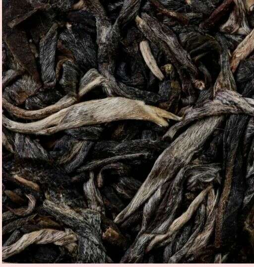 八角亭布朗老树圆茶 珍藏精品 乙巳蛇年 brand_alt_mark