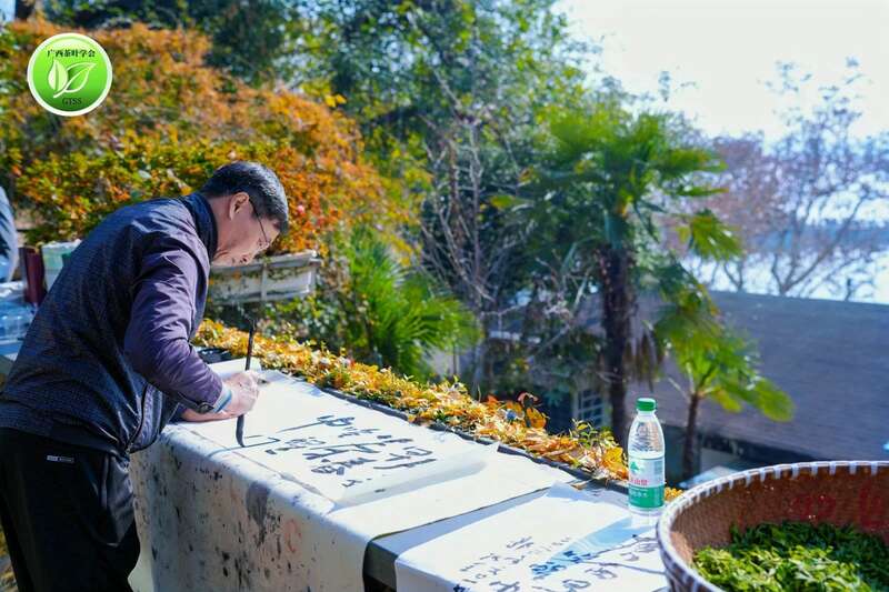 何以领鲜,唯有早春——2025广西“中国早春第一茶”系列活动盛大开启 brand_alt_mark