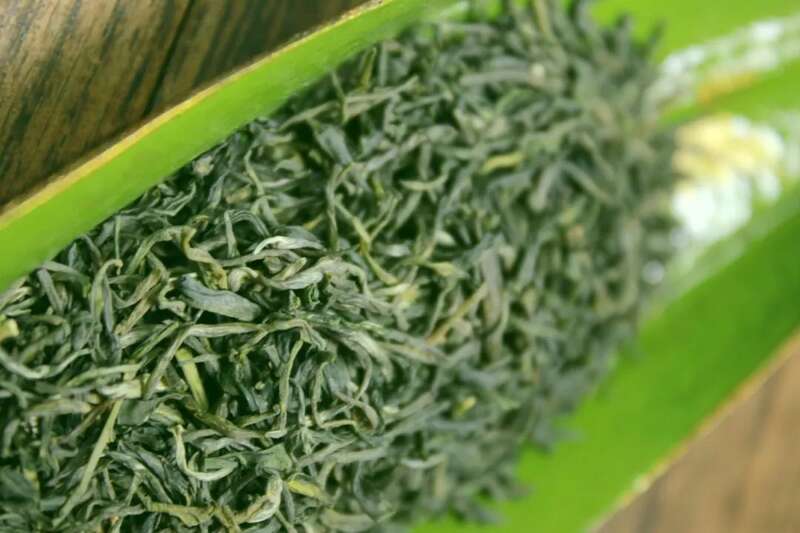 起猛了!冬天还没过完,就喝上春茶了?! brand_alt_mark