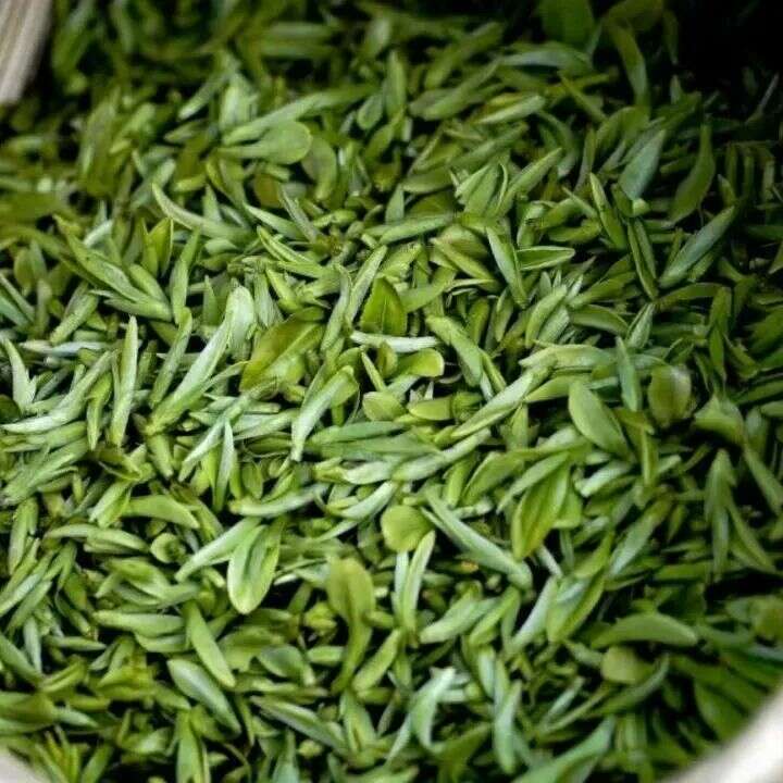 起猛了!冬天还没过完,就喝上春茶了?! brand_alt_mark