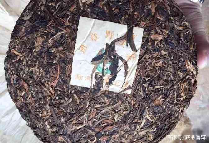 班章大白菜2000~2004年品类大全，橡筋茶、特2号……你都喝过吗？