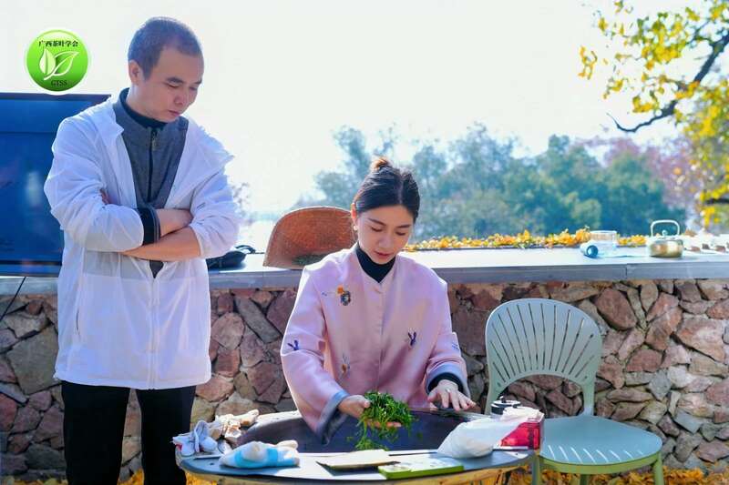 何以领鲜,唯有早春——2025广西“中国早春第一茶”系列活动盛大开启 brand_alt_mark