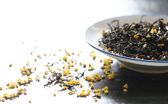 九曲红梅.png 九曲红梅.png