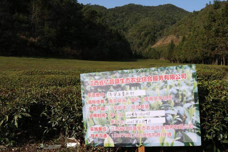 无人机春季管理促进欧标茶园增产增效 brand_alt_mark