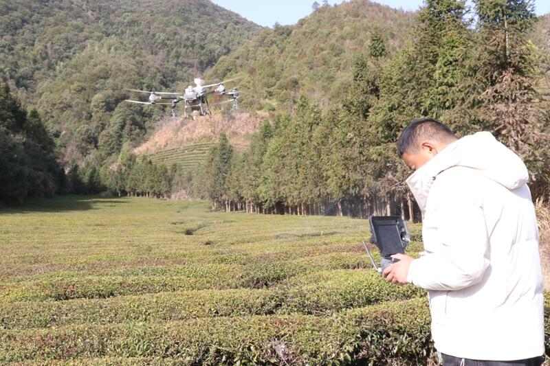无人机春季管理促进欧标茶园增产增效 brand_alt_mark
