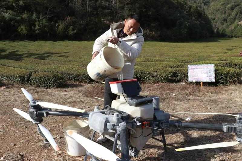 无人机春季管理促进欧标茶园增产增效 brand_alt_mark