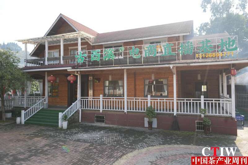 返乡电商创业故事,彭丽琴保靖黄金茶品牌崛起 brand_alt_mark