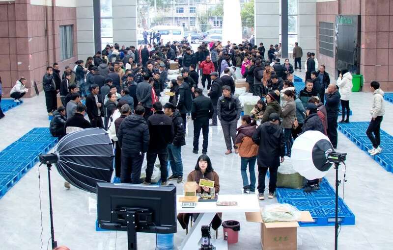 中国早茶交易中心开市 助力黔西南春茶走向全国 brand_alt_mark