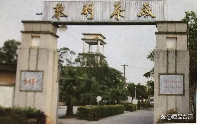 下关与八角亭普洱茶对比分析，哪个品牌更适合你