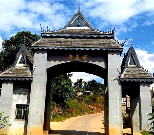 普洱茶苦酸涩味成因解析 土壤工艺影响品质