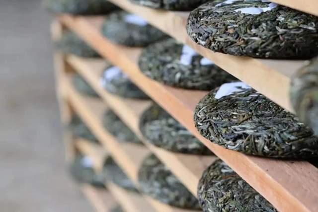 普洱茶苦酸涩味成因解析 土壤工艺影响品质