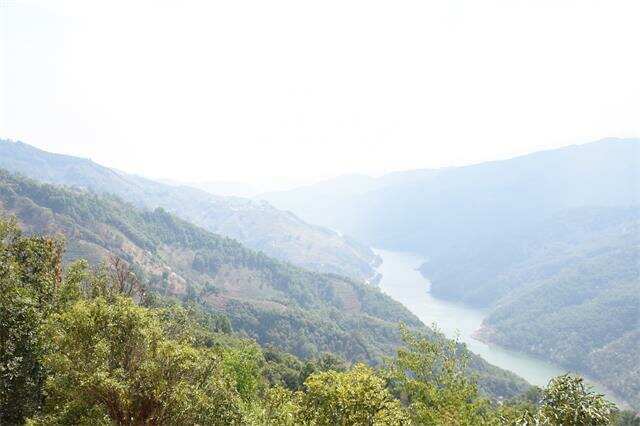 临沧茶产业绿色发展路径探析,构建生态茶业新格局 brand_alt_mark