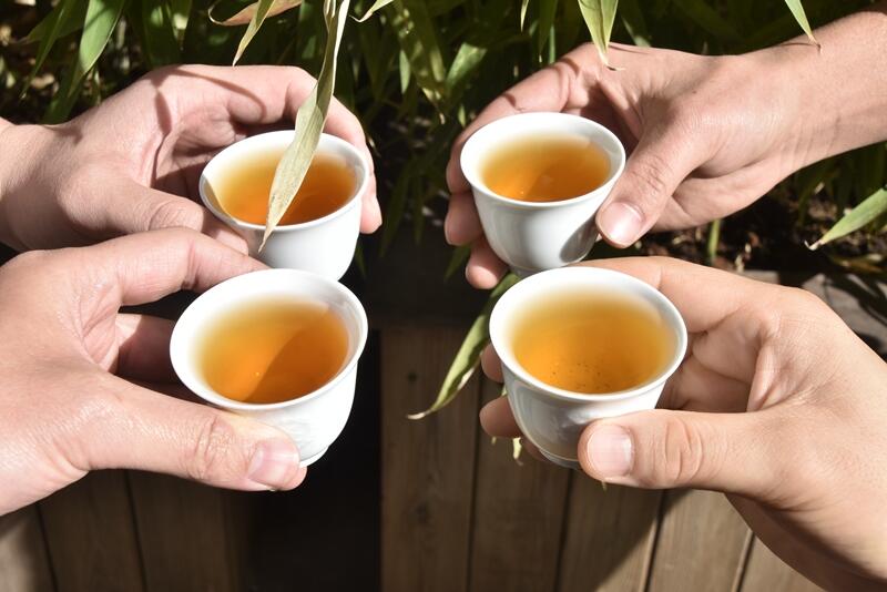 普洱茶市场回暖策略:从投资转向消费市场的转型之路 brand_alt_mark