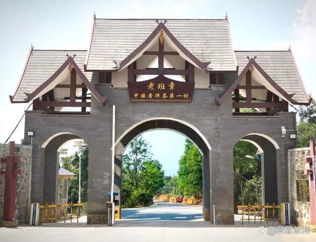 普洱茶五大核心产地解析：老班章霸气冰岛甜润各具特色