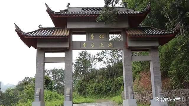 普洱茶五大核心产地解析：老班章霸气冰岛甜润各具特色