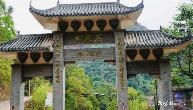 普洱茶五大核心产地解析：老班章霸气冰岛甜润各具特色