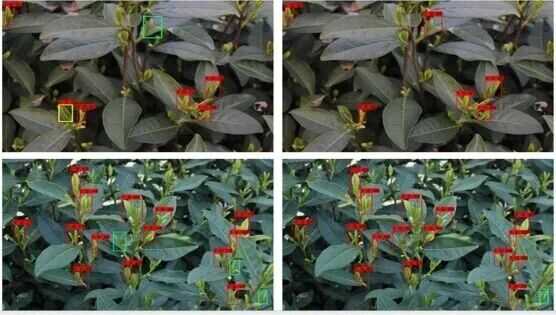 我国茶业数字化技术应用研究进展与展望