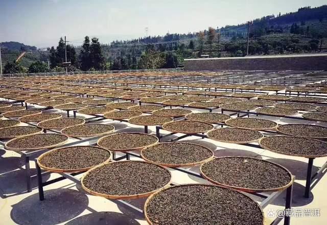 普洱茶为什么越陈越香?适合长期收藏的关键要素解析 普洱茶为什么越陈越香?适合长期收藏的关键要素解析