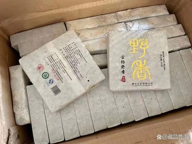 2012年澜沧古韵野香品质中期茶深度品鉴