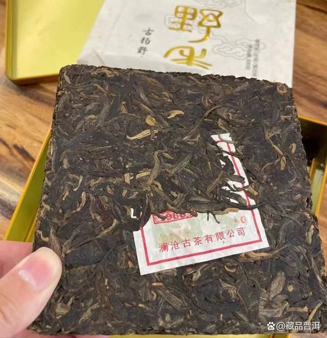 2012年澜沧古韵野香品质中期茶深度品鉴