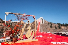 小罐茶12周年庆贺与惊醒 文化创新助力品牌发展 brand_alt_mark