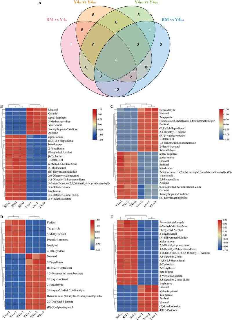 德巴利汉逊酵母对四川南路边茶发酵品质的影响机制研究 brand_alt_mark