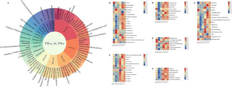 德巴利汉逊酵母对四川南路边茶发酵品质的影响机制研究 brand_alt_mark
