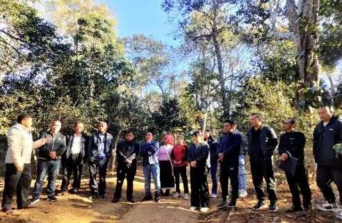 景迈山开展古茶林保护培训 提升茶农管护技能促产业发展 brand_alt_mark