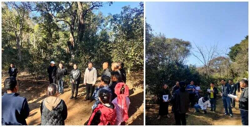 景迈山开展古茶林保护培训 提升茶农管护技能促产业发展 brand_alt_mark