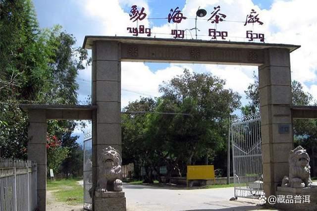 2003年红大益巴达野生茶深度解析，有机认证野生古树普洱茶品鉴