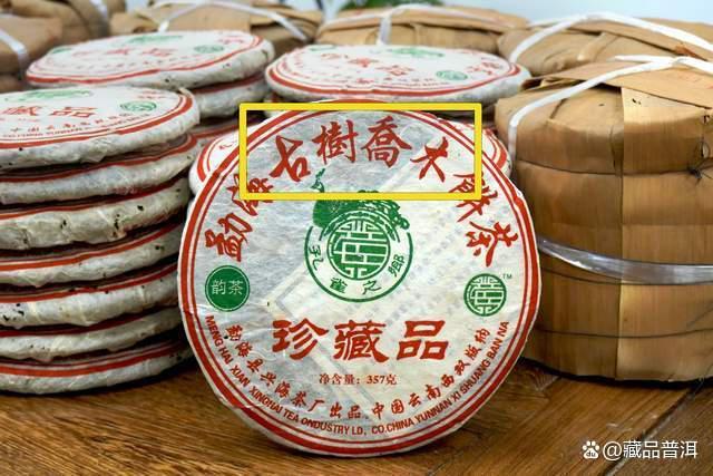 兴海2006年601批古树乔木珍藏品深度解析