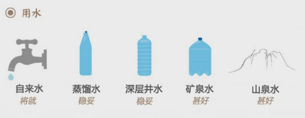小白银针（建阳白茶）品茗1.png