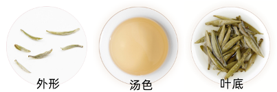 政和白毫银针外形.png