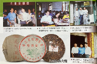 勐海茶厂定制茶三大经典系列，绿大树大白菜金银大益品鉴指南