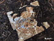 陈鸿昌普洱茶品牌发展历程及产品特点解析