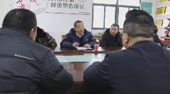 六安瓜片传承人建议科学规划茶园布局保护原始品系 brand_alt_mark