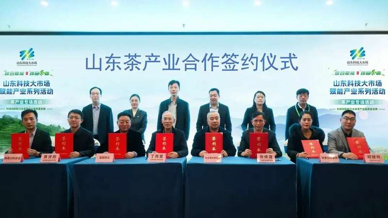 山东茶产业专场对接会举办 科技创新驱动产业升级 brand_alt_mark