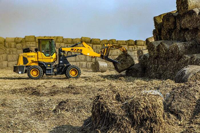 茶园行间覆盖水稻秸秆，让秸秆“变废为宝”