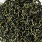 日照绿茶是什么茶？独特品质与冲泡方法全解析