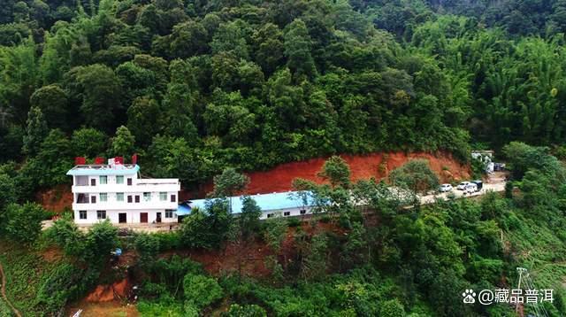 陈升号四大名山系列深度解析：班章南糯那卡易武品质特点全解