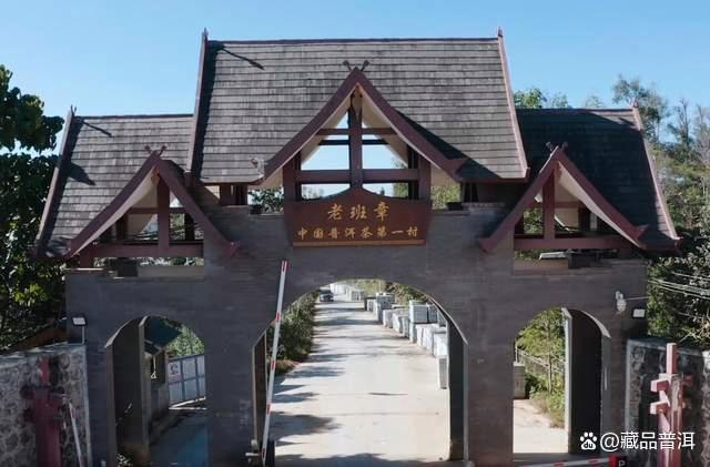 陈升号四大名山系列深度解析：班章南糯那卡易武品质特点全解