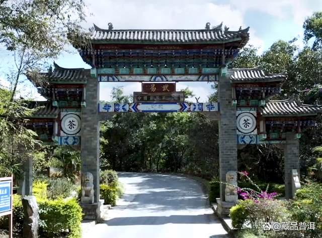 陈升号四大名山系列深度解析：班章南糯那卡易武品质特点全解