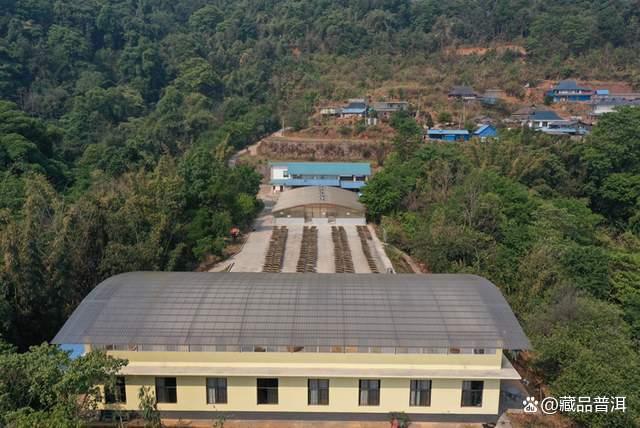 陈升号四大名山系列深度解析：班章南糯那卡易武品质特点全解