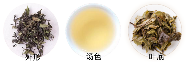 松溪小白茶品质特征.png