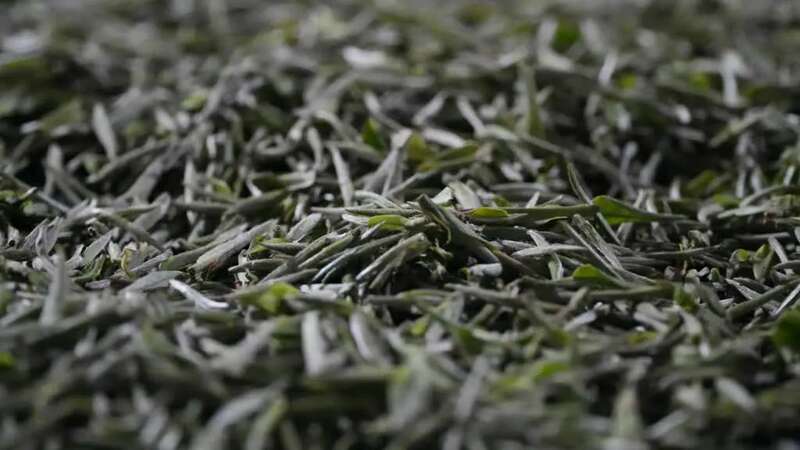 峨眉问春抢占春茶市场先机,犍为县5000亩茶园助力农民增收致富 brand_alt_mark