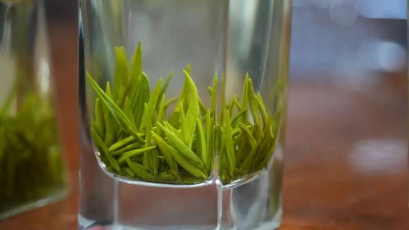 峨眉问春抢占春茶市场先机,犍为县5000亩茶园助力农民增收致富 brand_alt_mark